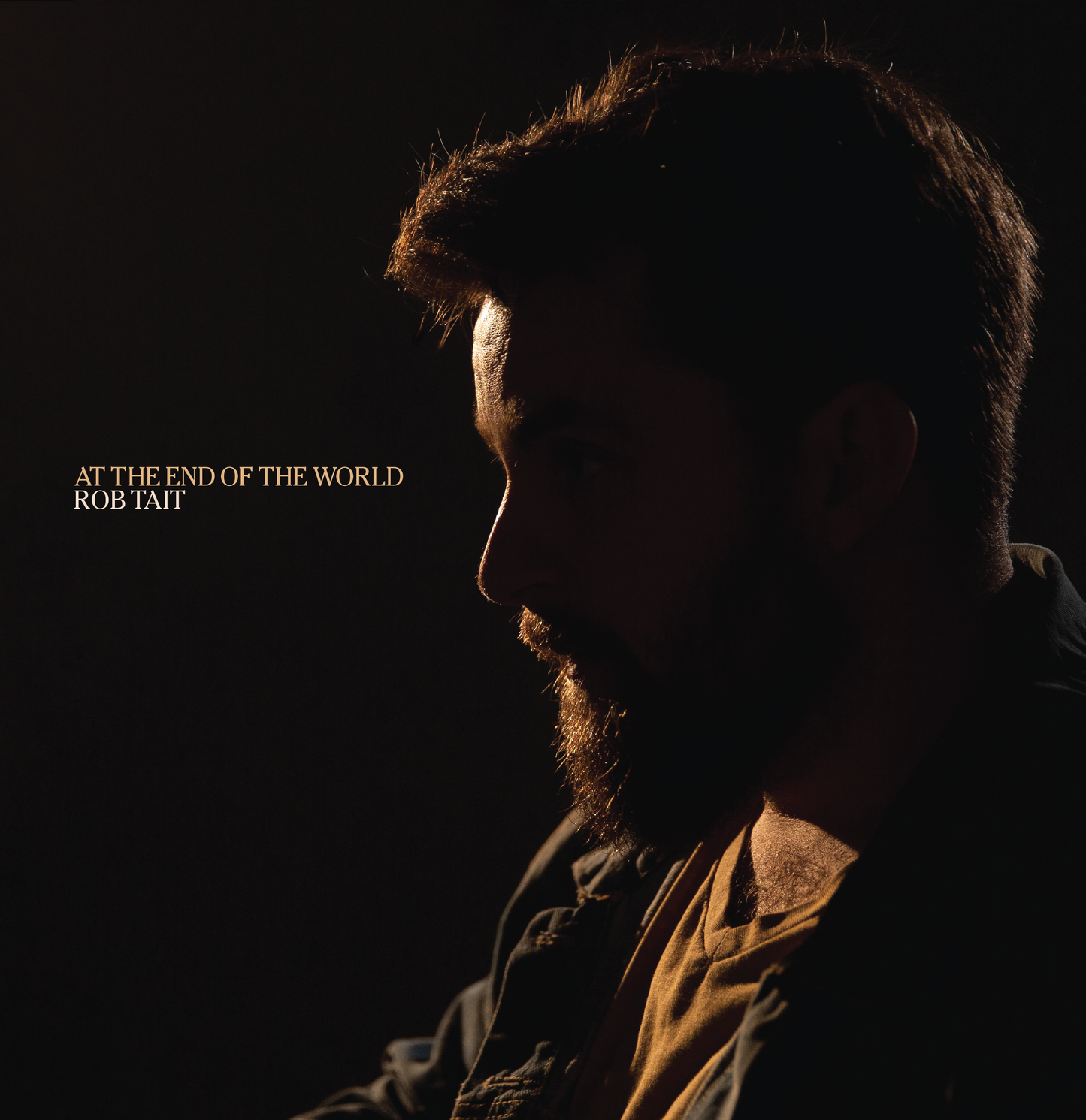 Specialty Vinyl - ‘At the End of the World’